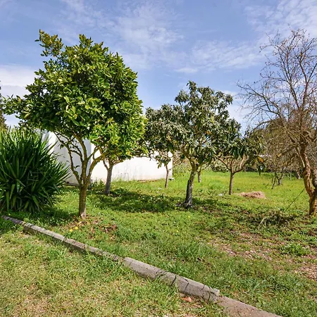 Pet Friendly In With Wifi Holiday home Iglesias